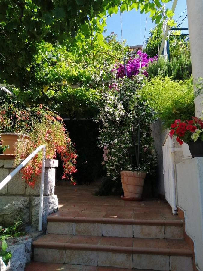Apartments Jelen Dubrovnik Eksteriør billede